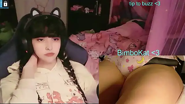 Show Webcam de BimboCat