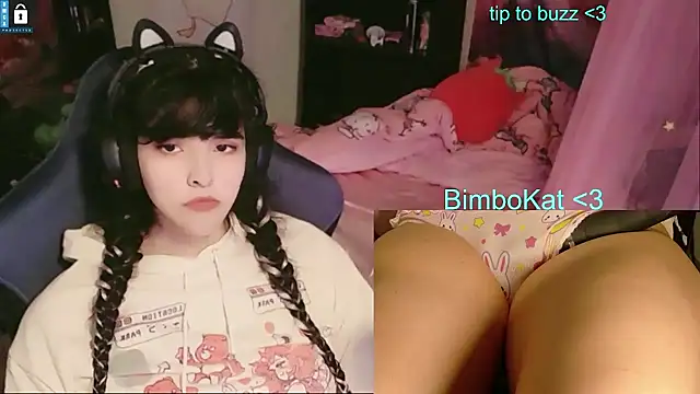 Show Webcam de BimboCat