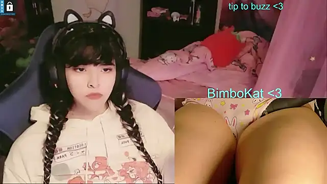 BimboCat Show Webcam