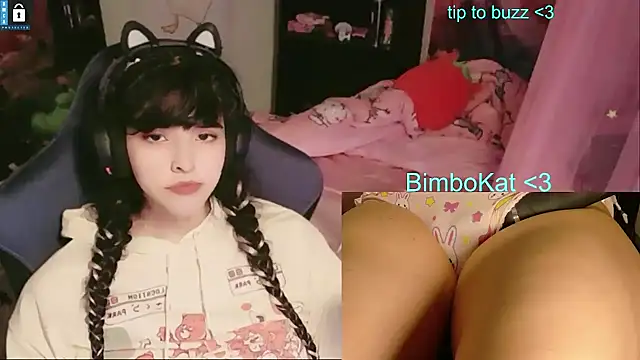BimboCat Show in webcam