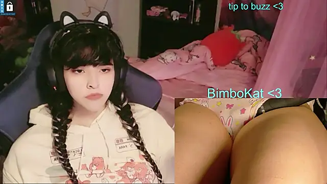 BimboCat: вебкам-шоу