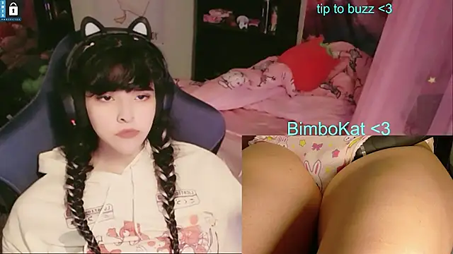Show webcam de BimboCat