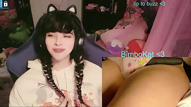 Show webcam de BimboCat