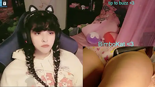 BimboCat: διαδικτυακό σόου στην κάμερα