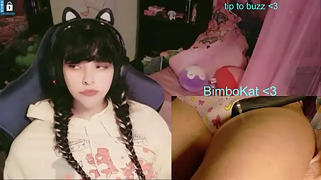 BimboCat: вебкам-шоу