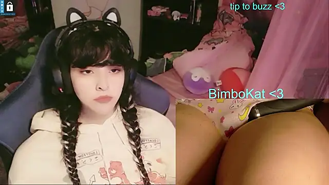 BimboCat webkamerás műsora