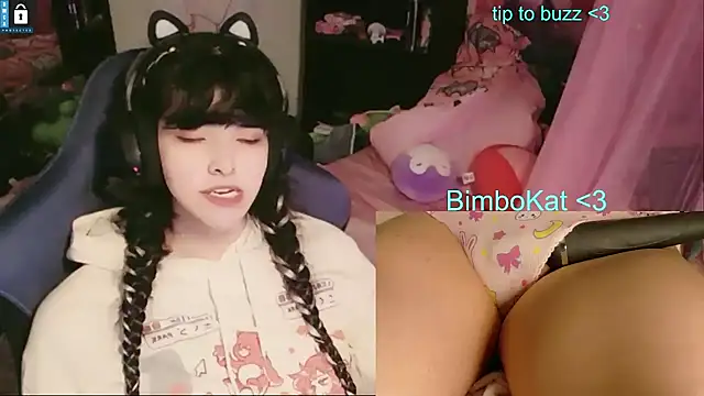 BimboCat webkamerás műsora
