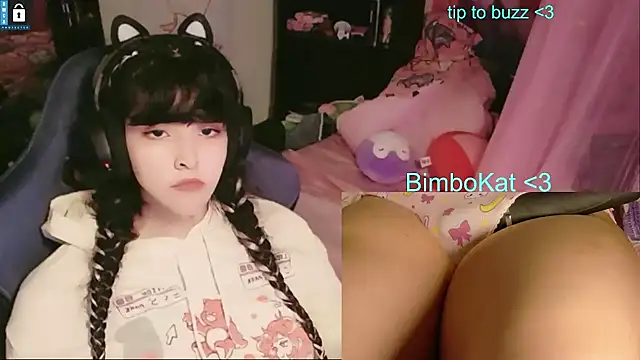 BimboCat 웹캠 쇼