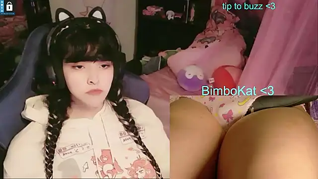 Show Webcam de BimboCat