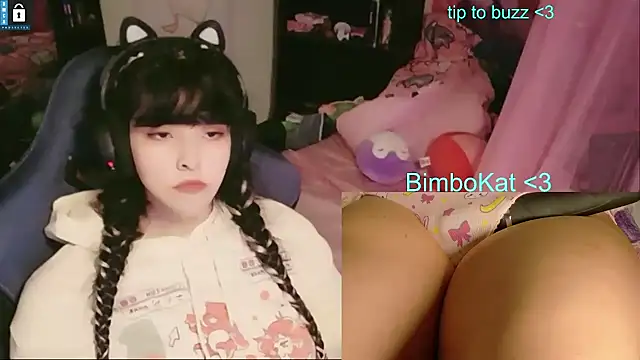 BimboCat: διαδικτυακό σόου στην κάμερα