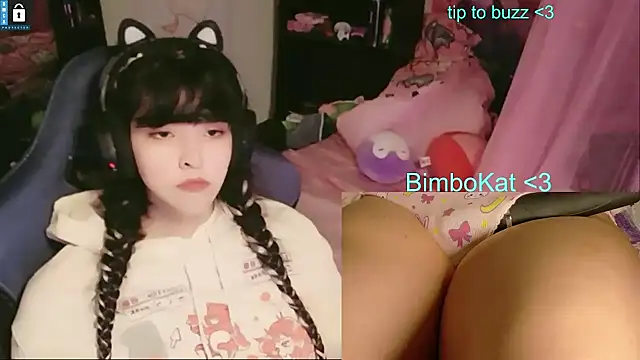 BimboCat: διαδικτυακό σόου στην κάμερα