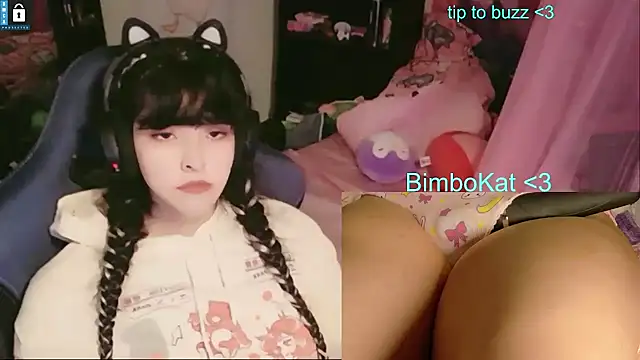 BimboCat 网络视讯表演