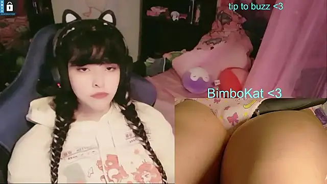 BimboCat: διαδικτυακό σόου στην κάμερα