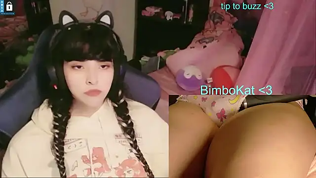 Show de BimboCat na webcam