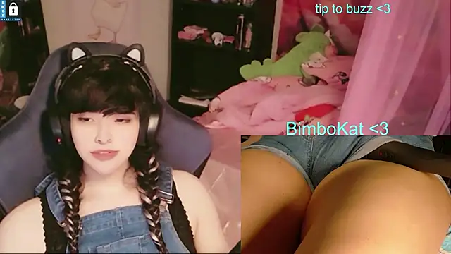 BimboCat webkamerás műsora