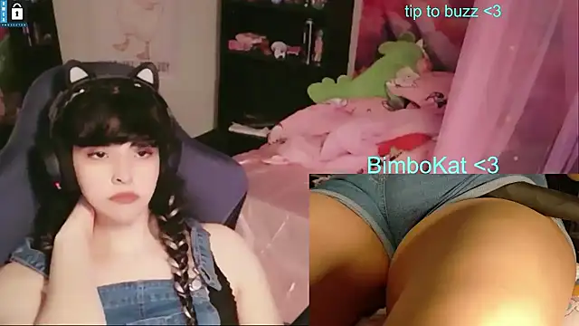 BimboCat webkamerás műsora