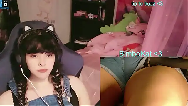BimboCat: διαδικτυακό σόου στην κάμερα