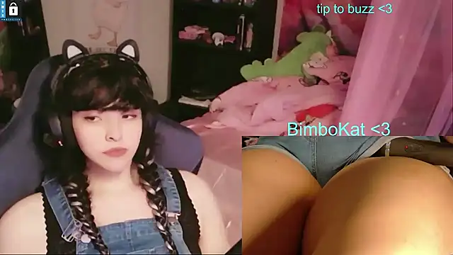 BimboCat 웹캠 쇼