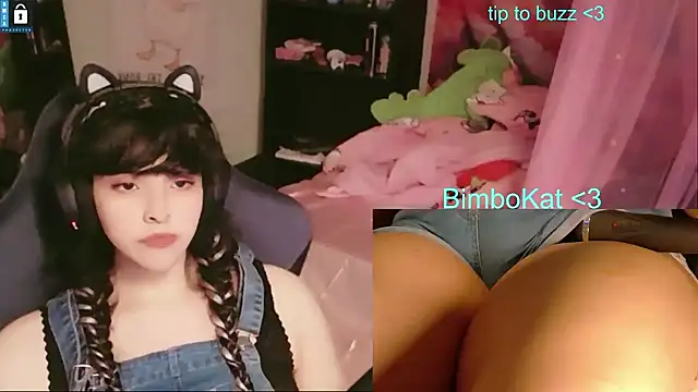 BimboCatのウェブカメラショー
