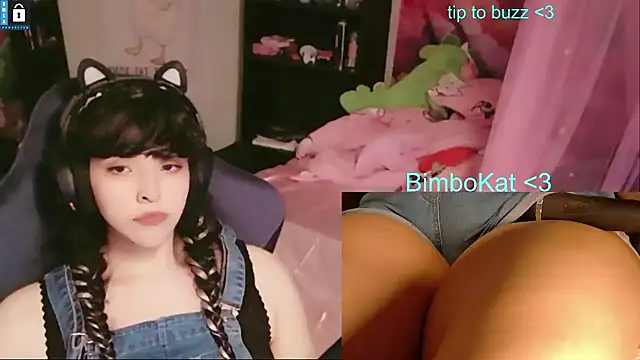 BimboCat: вебкам-шоу