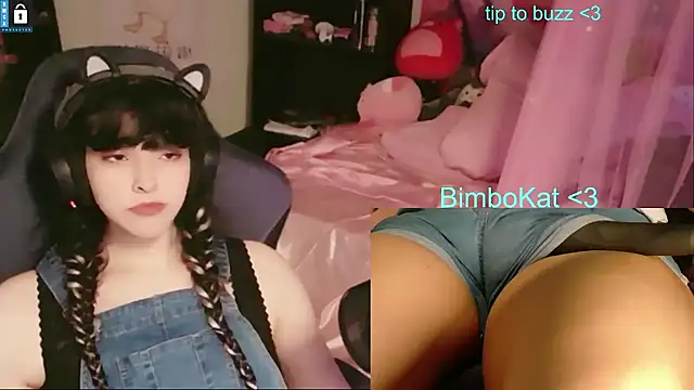 Show Webcam de BimboCat