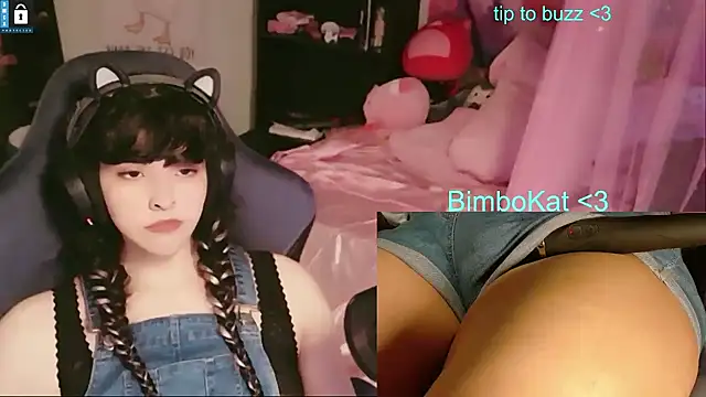 Show Webcam de BimboCat