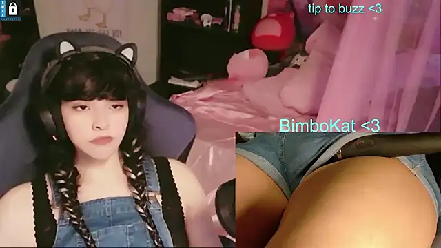BimboCat webkamerás műsora