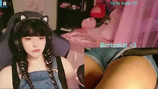 BimboCat: διαδικτυακό σόου στην κάμερα