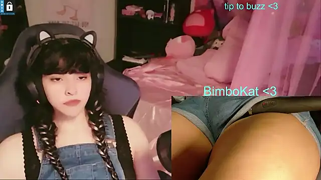 BimboCat's Webcam Show