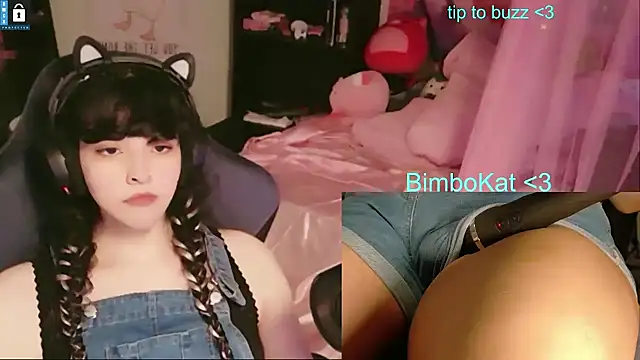 BimboCat webkamerás műsora