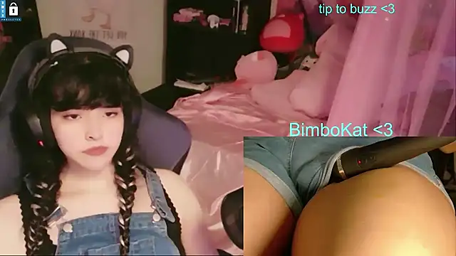BimboCat Show Webcam