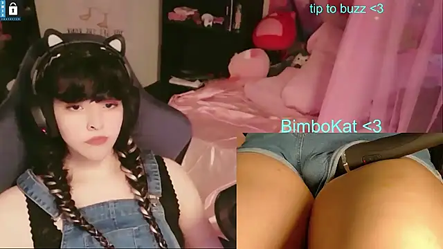 BimboCat 웹캠 쇼