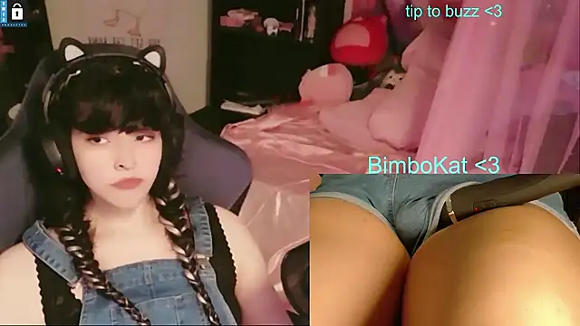 BimboCat ওয়েবক্যাম শো