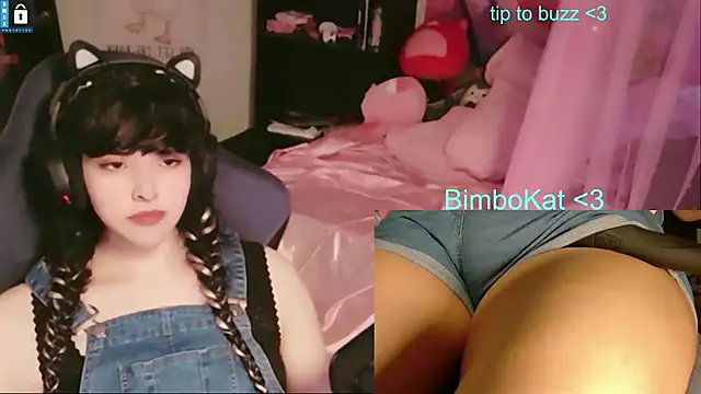 Show de BimboCat na webcam