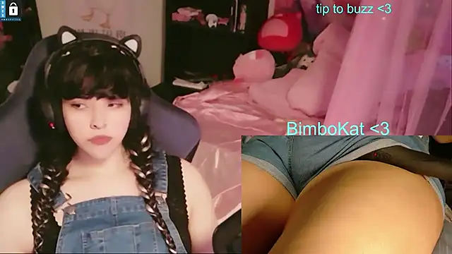 Show Webcam de BimboCat
