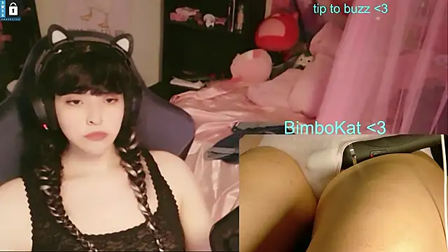 Show Webcam de BimboCat