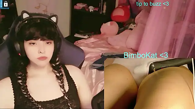 BimboCat 웹캠 쇼