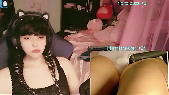 BimboCat: вебкам-шоу