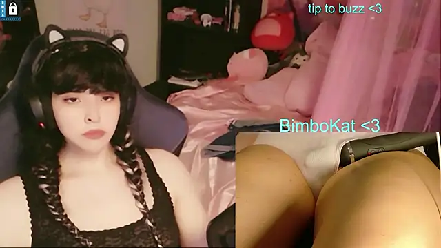 BimboCat Show in webcam