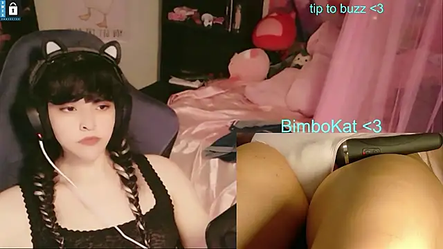 Show webcam de BimboCat
