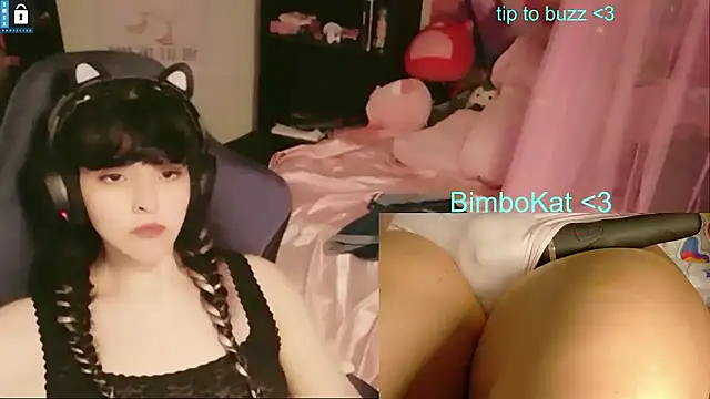 BimboCat Show in webcam