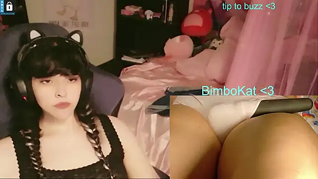 BimboCat Show Webcam