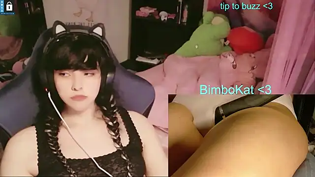 BimboCat: διαδικτυακό σόου στην κάμερα