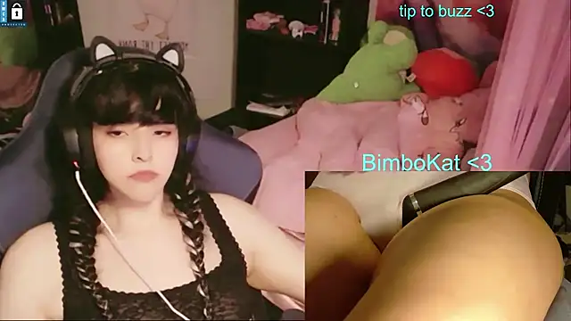 BimboCat webcam show