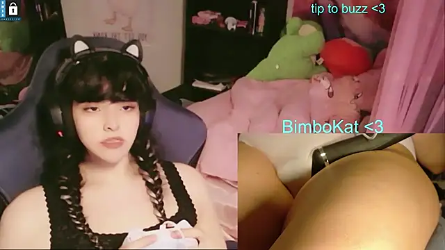 BimboCat: διαδικτυακό σόου στην κάμερα