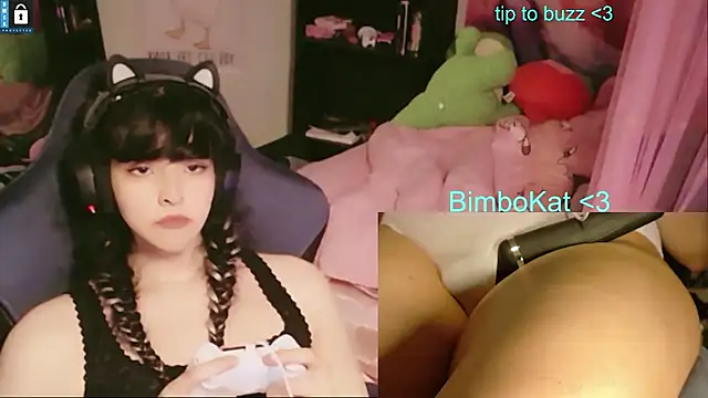 BimboCat: διαδικτυακό σόου στην κάμερα