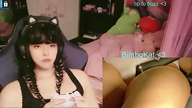BimboCat Show in webcam