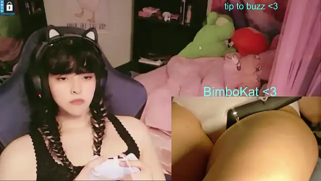 Pertunjukan Kamera Web BimboCat