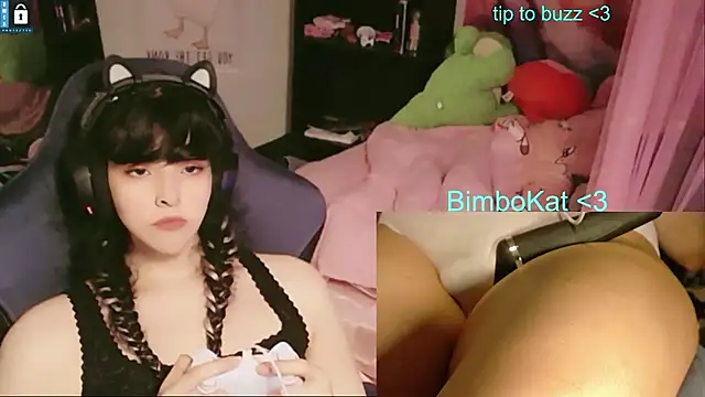 BimboCat: διαδικτυακό σόου στην κάμερα