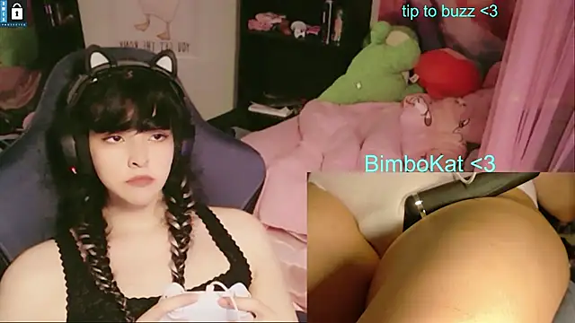 Show Webcam de BimboCat
